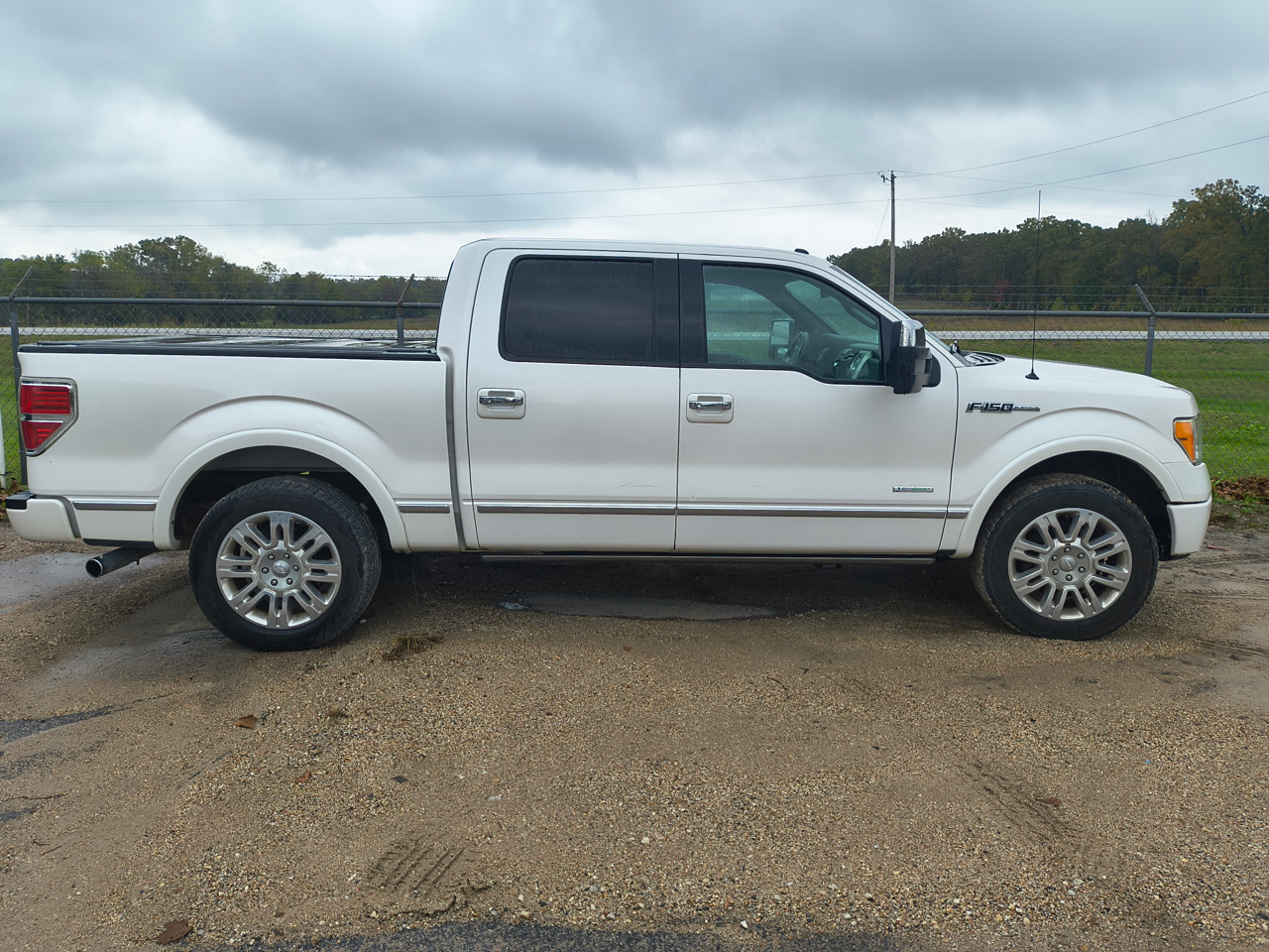 Ford F-150 Platinum 2012