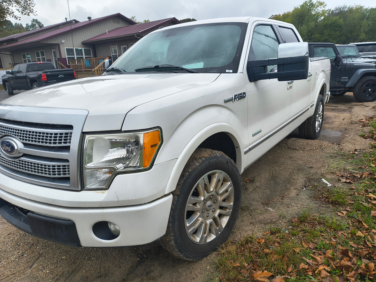 Ford F-150 Platinum 2012