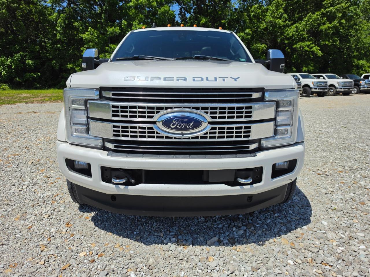 Ford F-450 SD Platinum Crew Cab DRW 4WD 2019