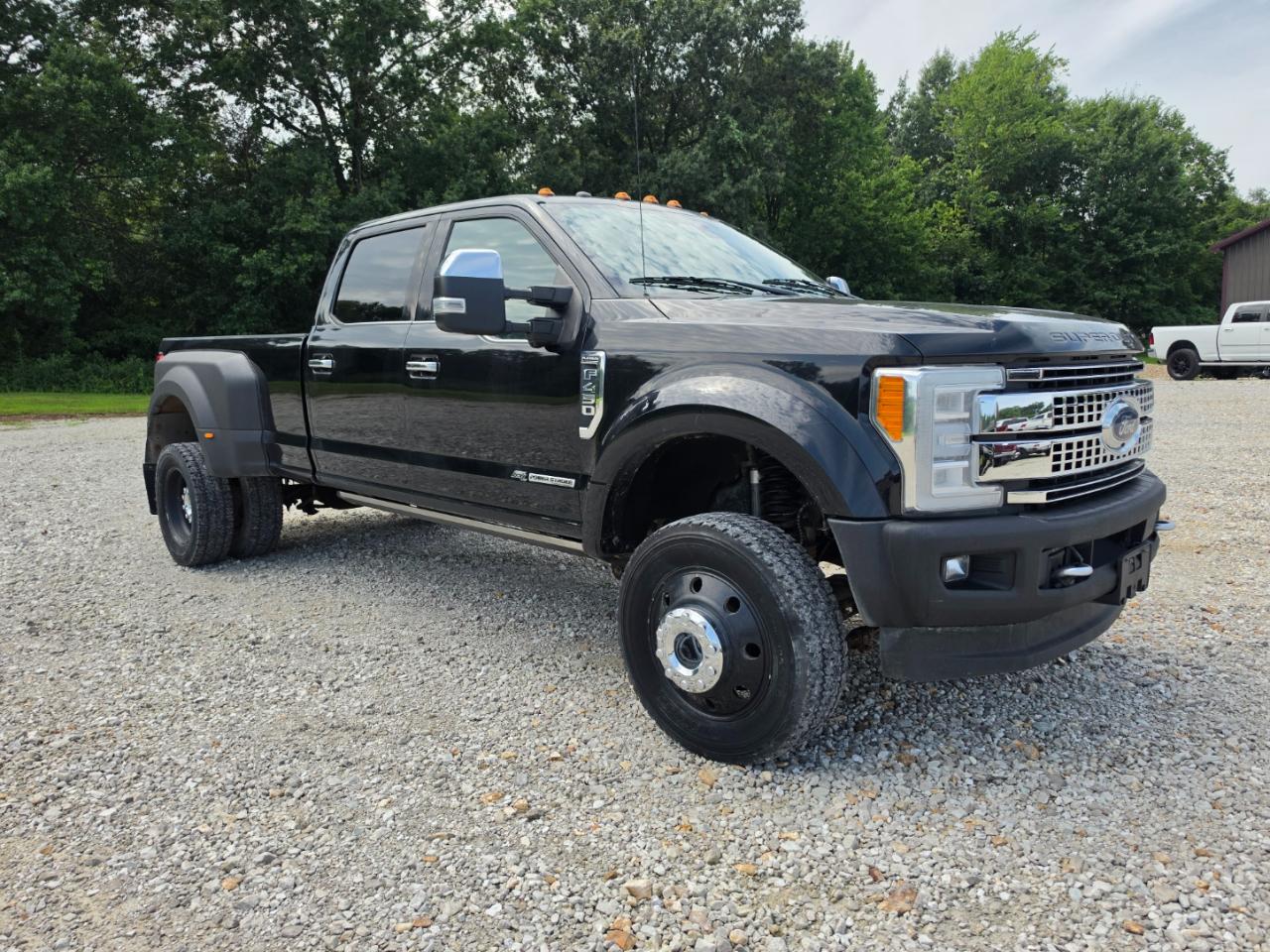 Ford F-450 SD Platinum Crew Cab DRW 4WD 2017
