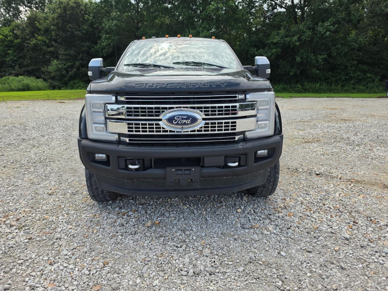 Ford F-450 SD Platinum Crew Cab DRW 4WD 2017
