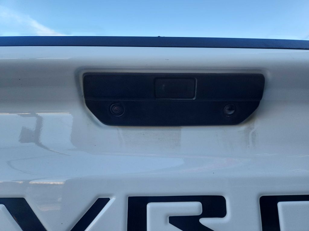 Chevrolet Silverado 1500 Limited Custom Trail Boss Crew Cab Long Box 4WD 2022