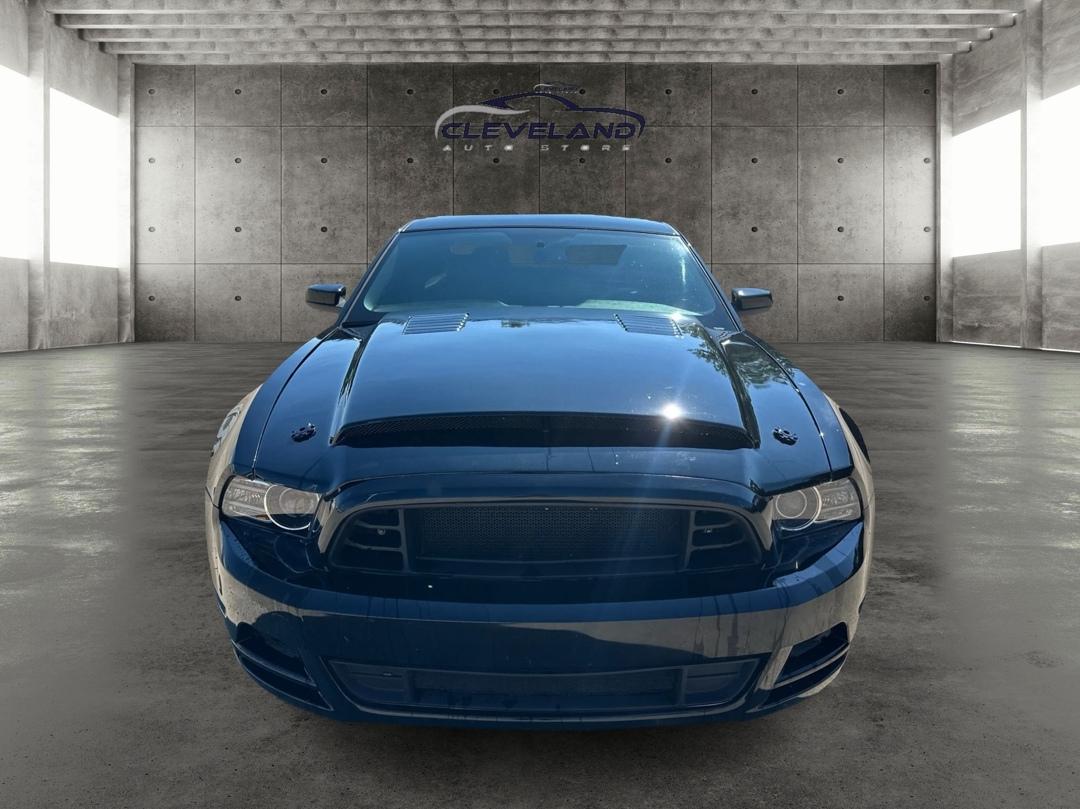Ford Mustang  2013