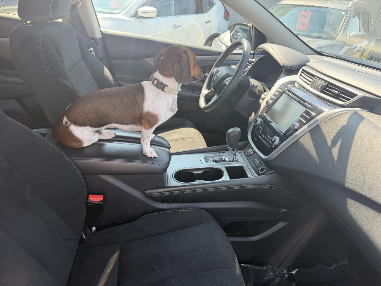 Nissan Murano 4dr S AWD V6 2019