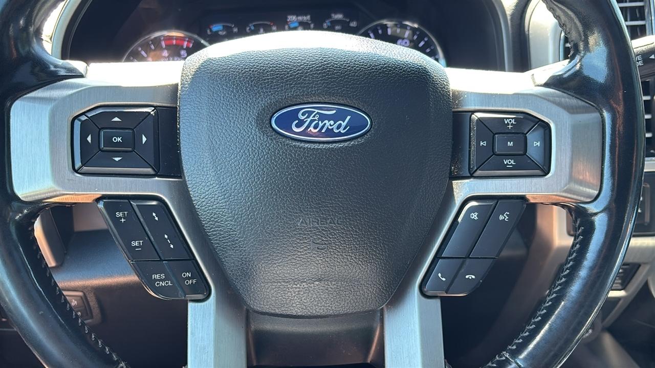 Ford F-250 SD Platinum Crew Cab 4WD 2020