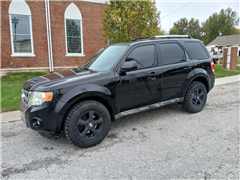 2010 Ford Escape  2010 Ford Escape