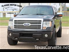 2010 Ford F-150 