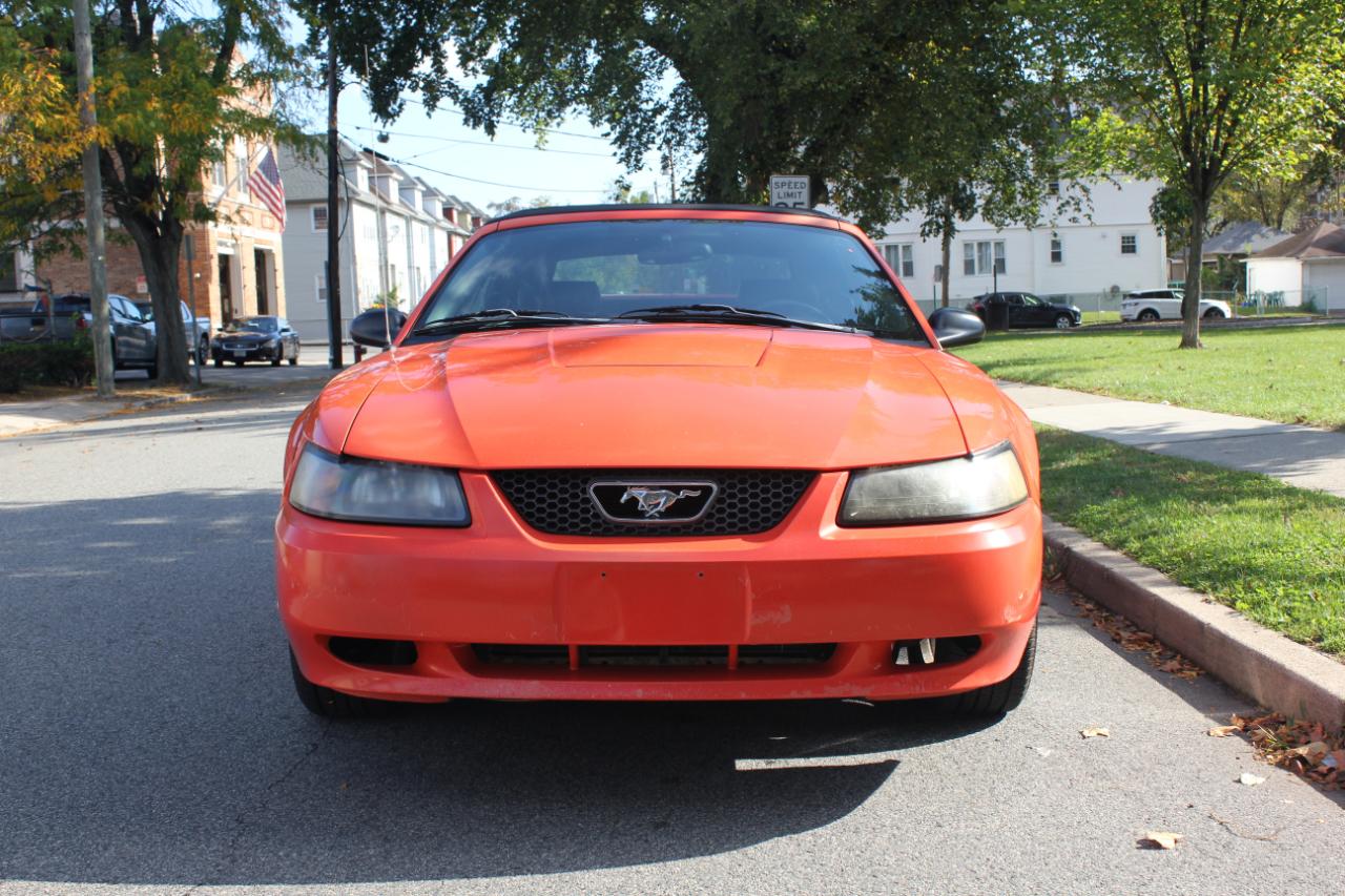 Ford Mustang Deluxe Convertible 2004