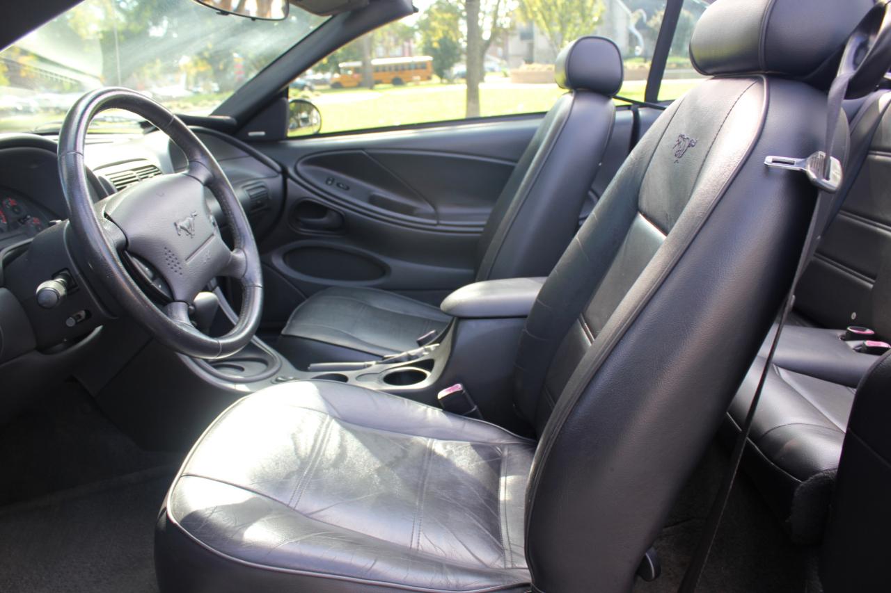Ford Mustang Deluxe Convertible 2004