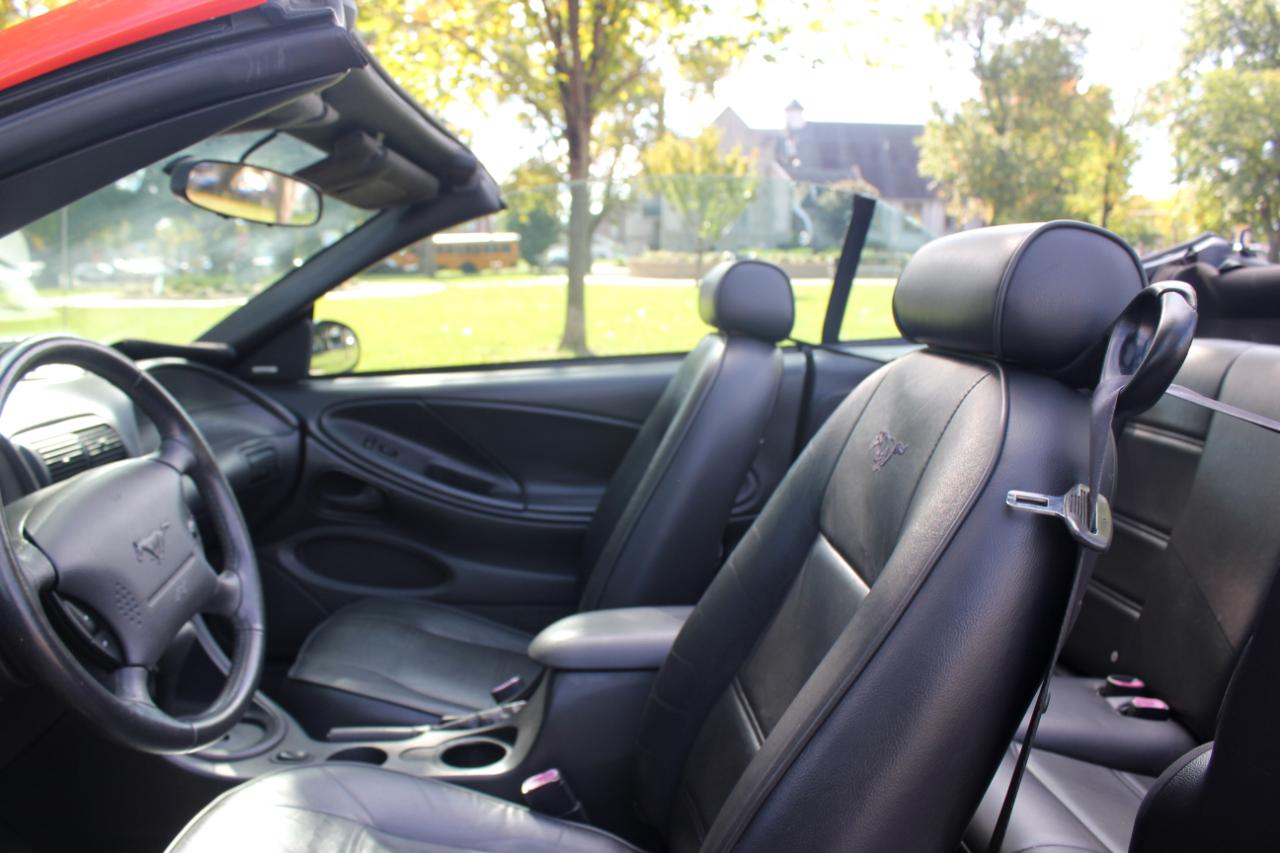 Ford Mustang Deluxe Convertible 2004