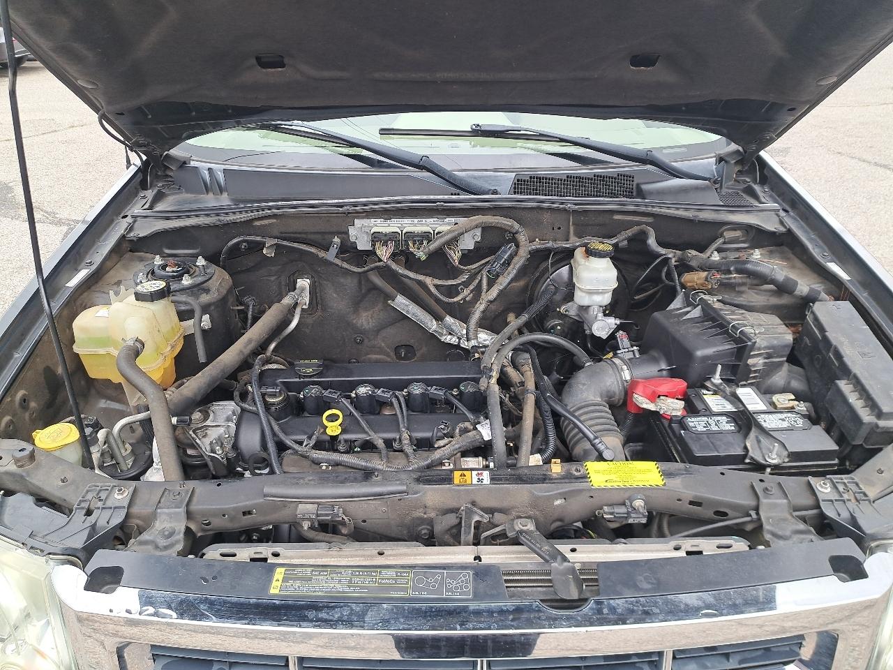 Ford Escape FWD 4dr XLT 2009