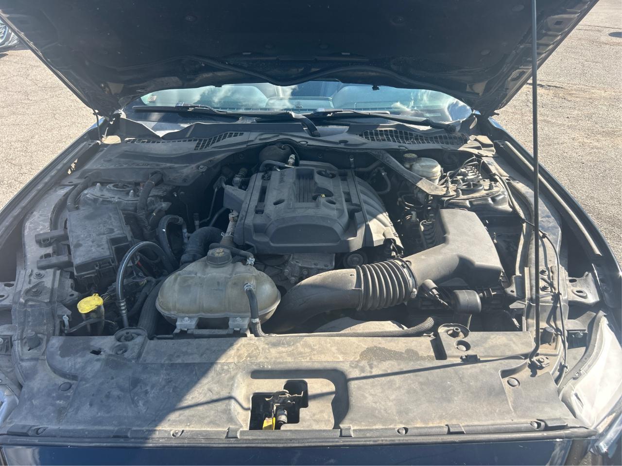 Ford Mustang EcoBoost Premium Convertible 2017