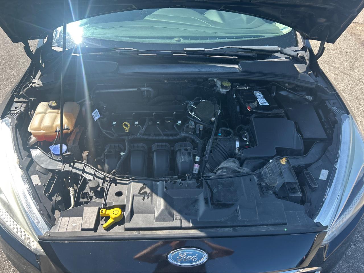 Ford Focus SE Hatch 2015