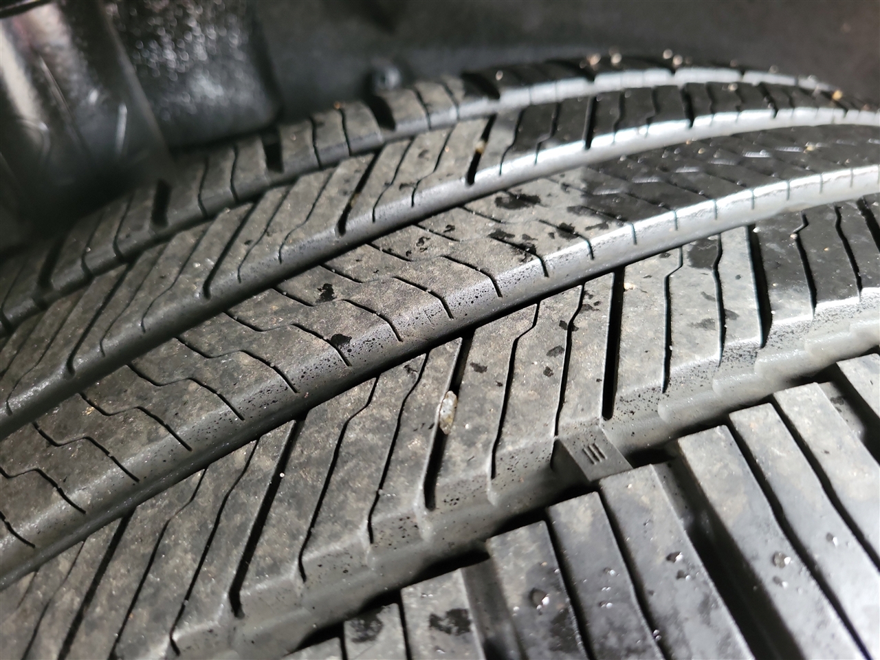 Toyota RAV4 XLE Premium 2019