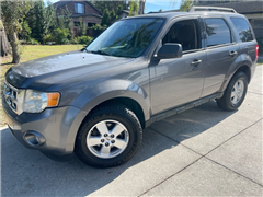 2010 Ford Escape 