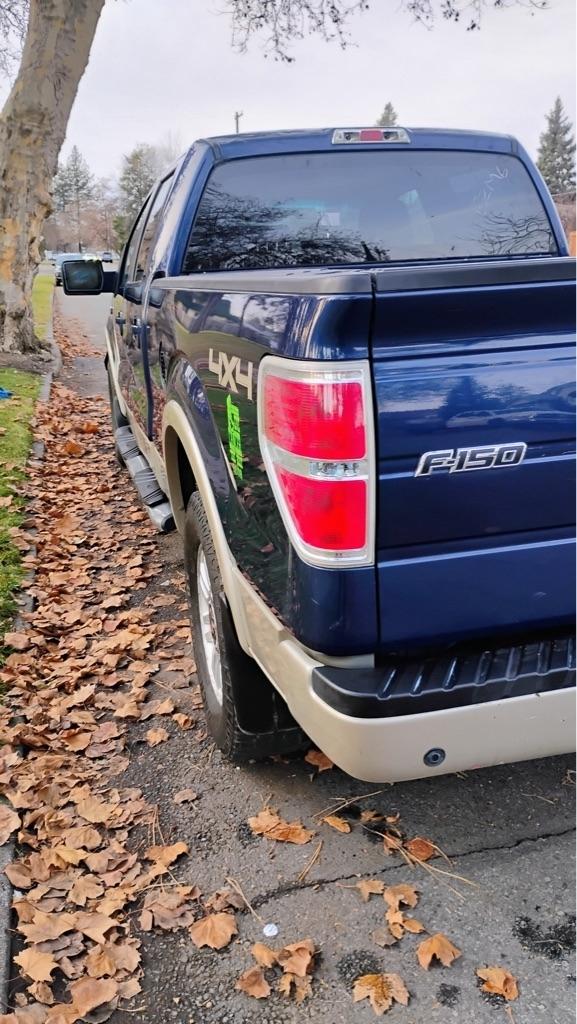 Ford F-150  2009