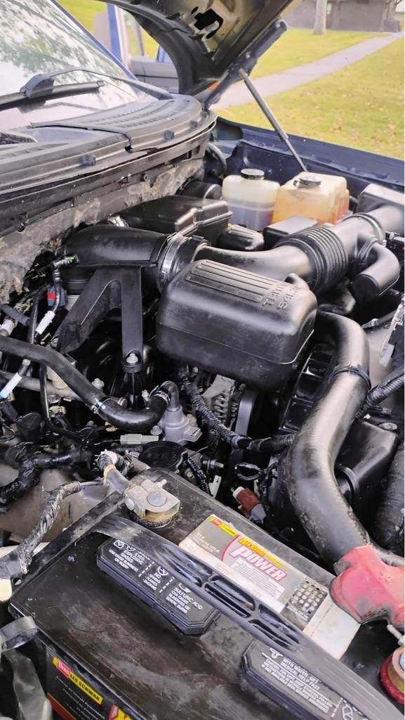 Ford F-150  2009