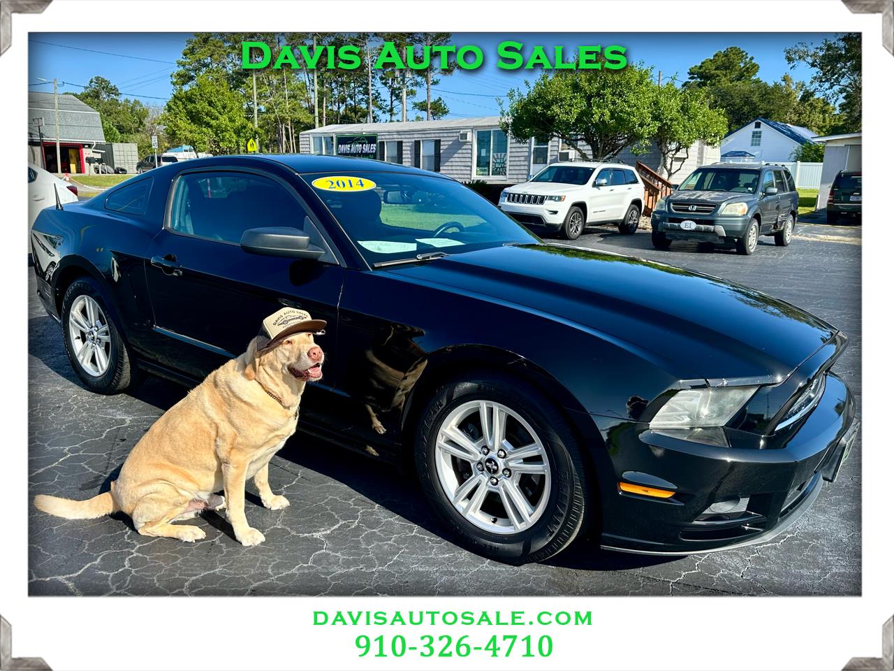 2014 Ford Mustang