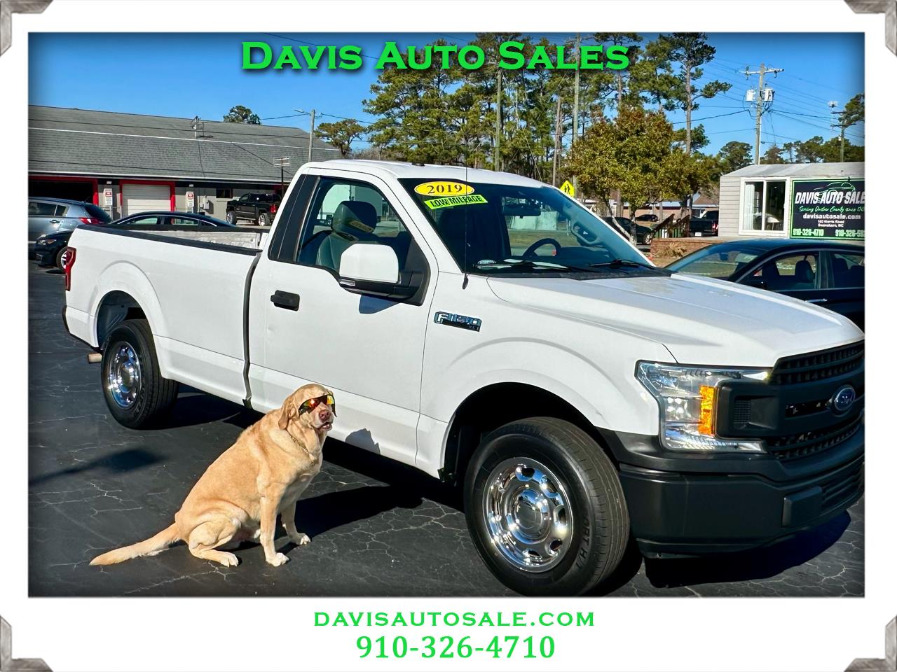 2019 Ford F-150 XL's photo