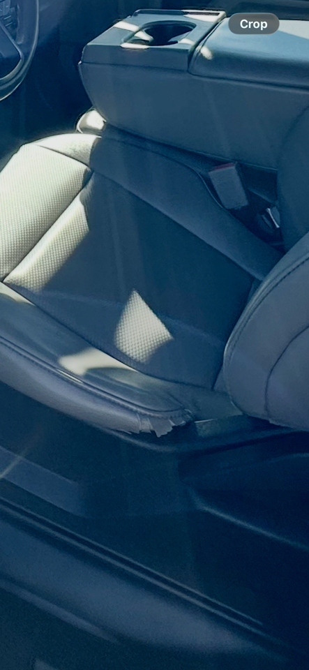 Ford F-150 XL 6.5-ft. Bed 2WD 2019