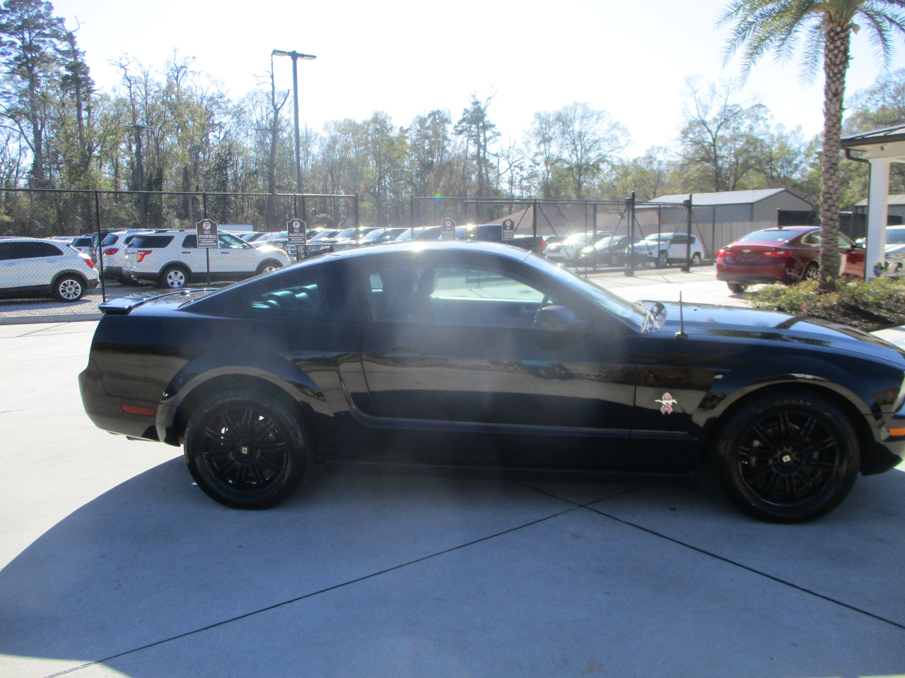 Ford Mustang V6 Premium Coupe 2008