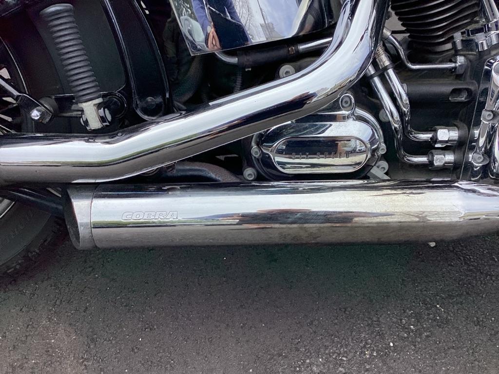 Harley-Davidson FLSTC103  2015