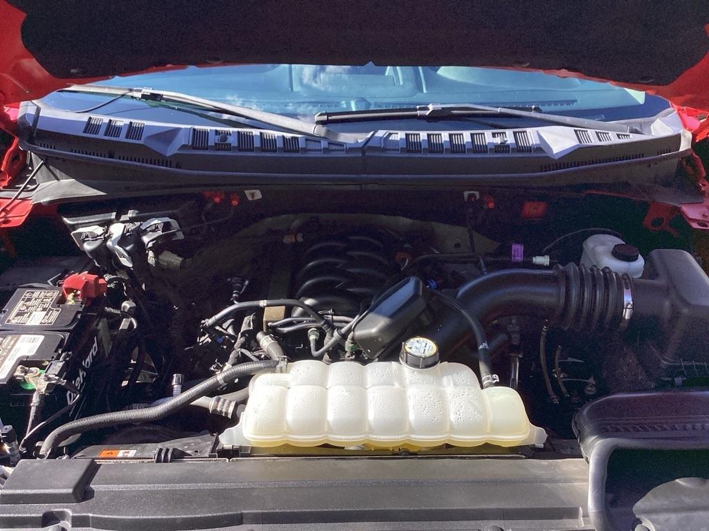 Ford F-150 XL SuperCrew 5.5-ft. Bed 2WD 2019
