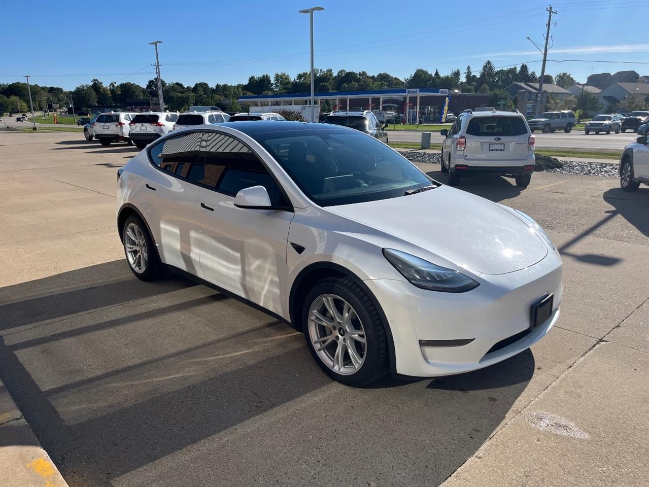 Tesla Model Y photo 7