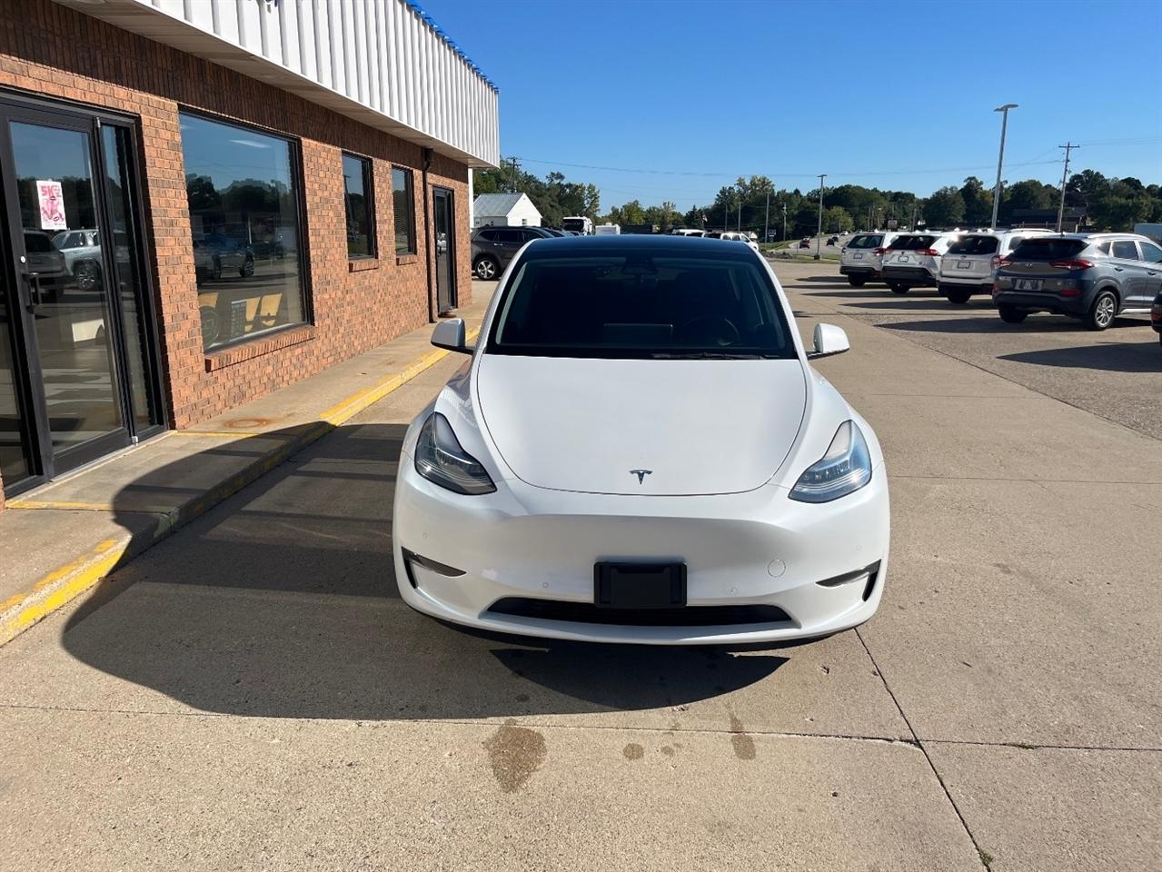 Tesla Model Y photo 10