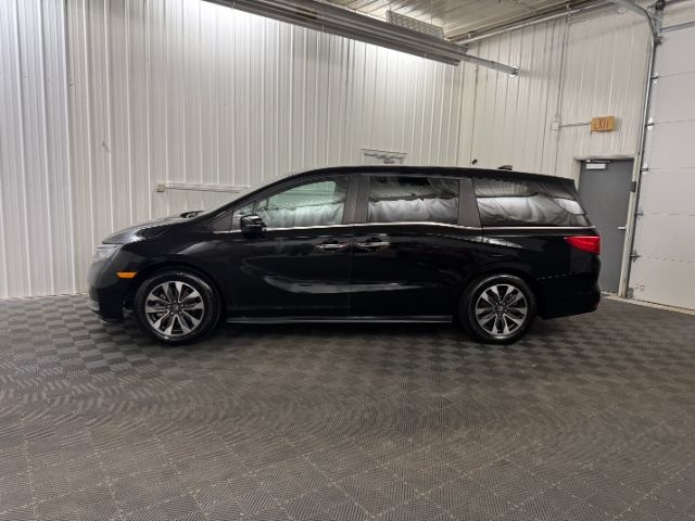 Honda Odyssey  2021 Honda Odyssey  2021
