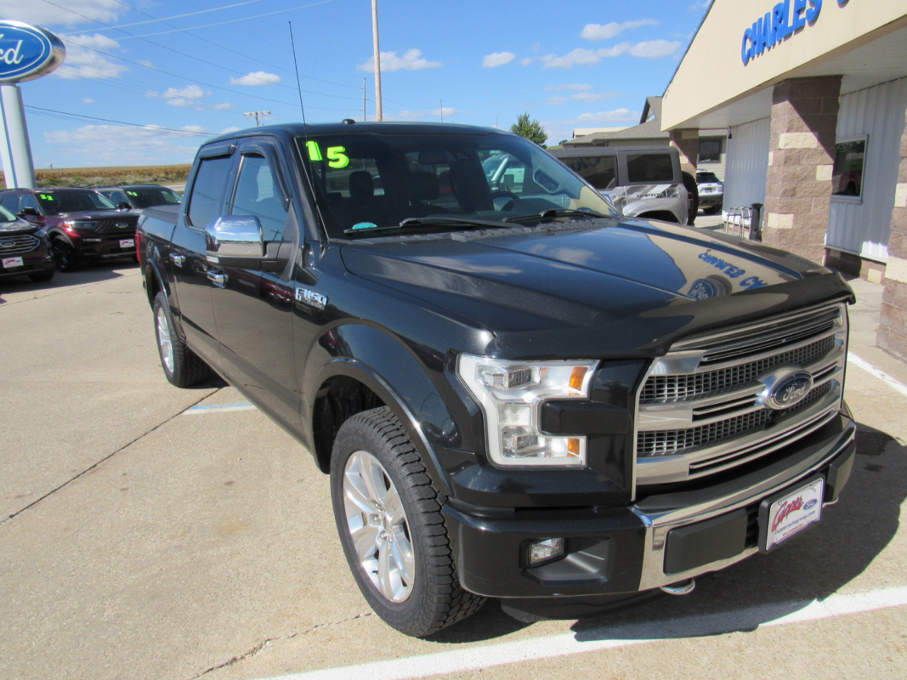 2015 Ford F-150 Platinum photo 2