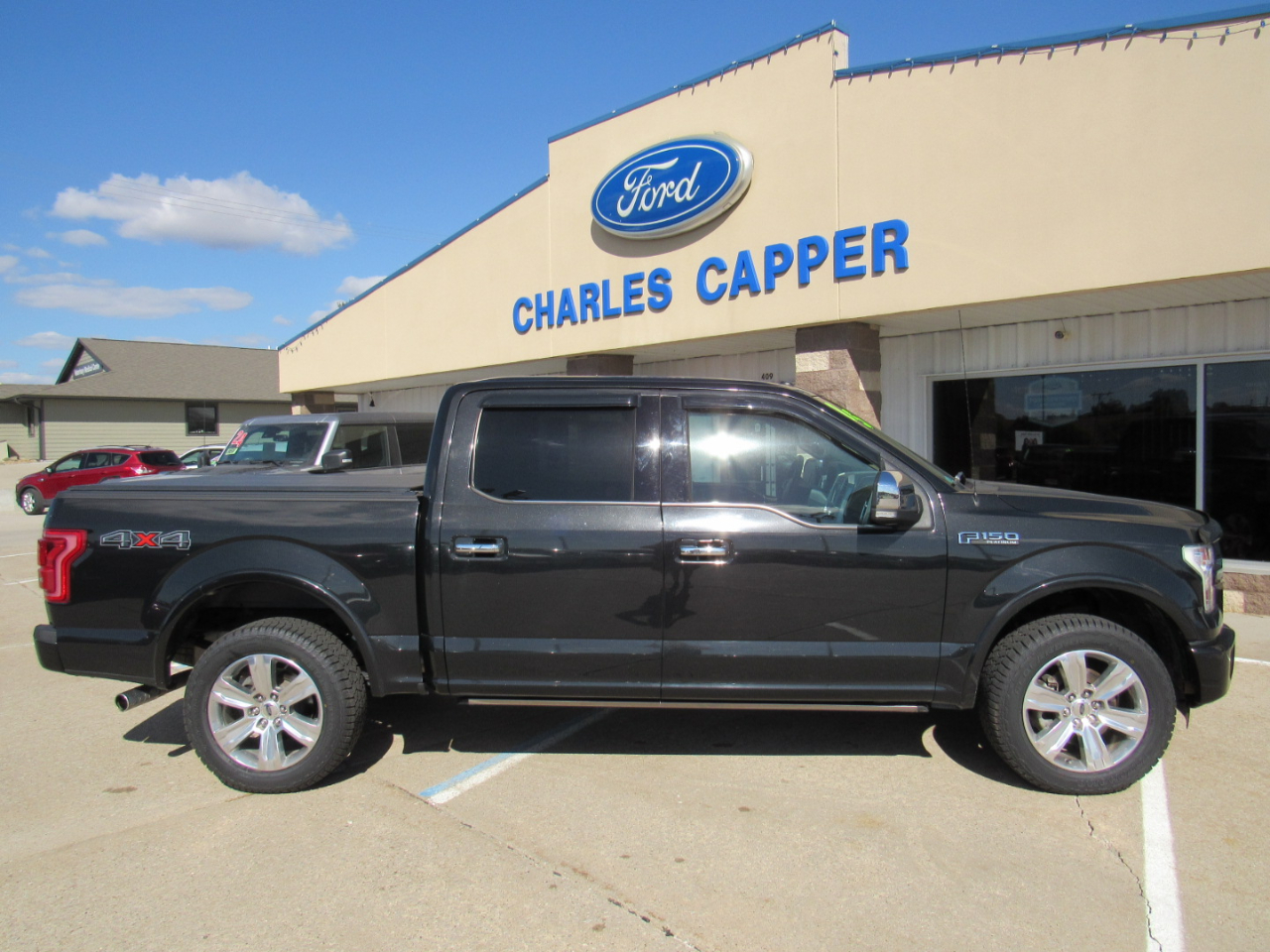 2015 Ford F-150 Platinum photo 3