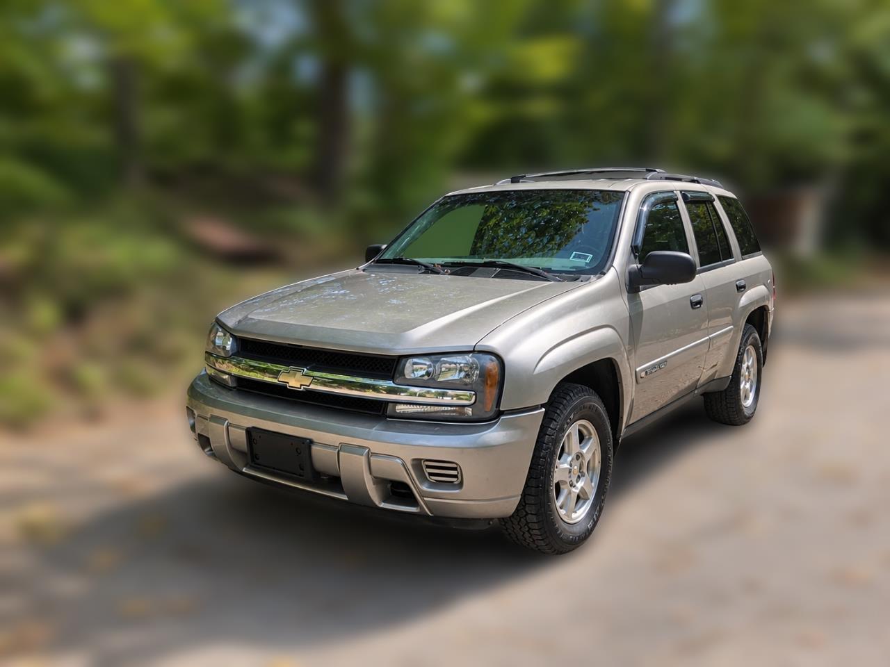 2002 Chevrolet TrailBlazer LS 4WD