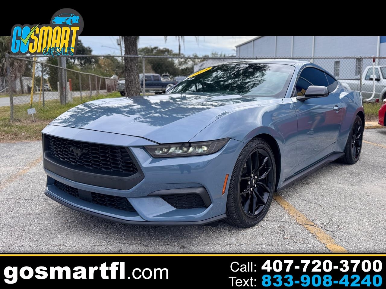 Ford Mustang EcoBoost Fastback 2024