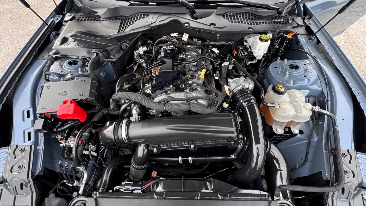 Ford Mustang EcoBoost Fastback 2024