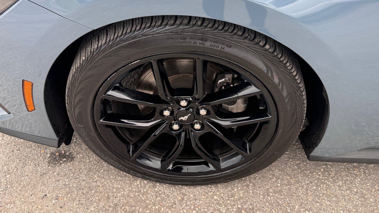 Ford Mustang EcoBoost Fastback 2024