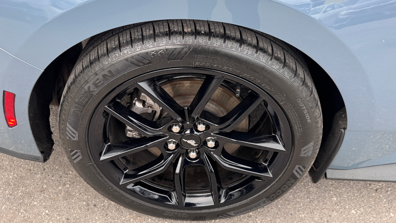 Ford Mustang EcoBoost Fastback 2024