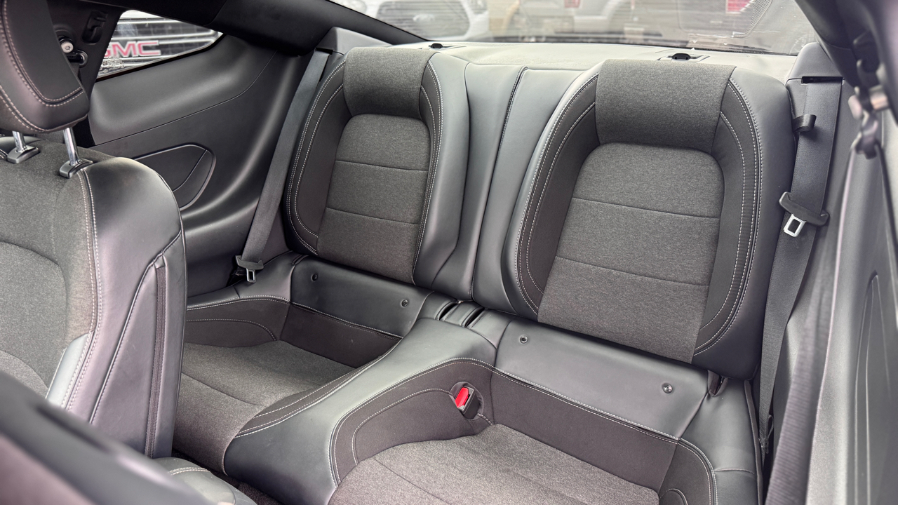 Ford Mustang EcoBoost Fastback 2024