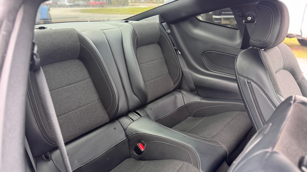 Ford Mustang EcoBoost Fastback 2024