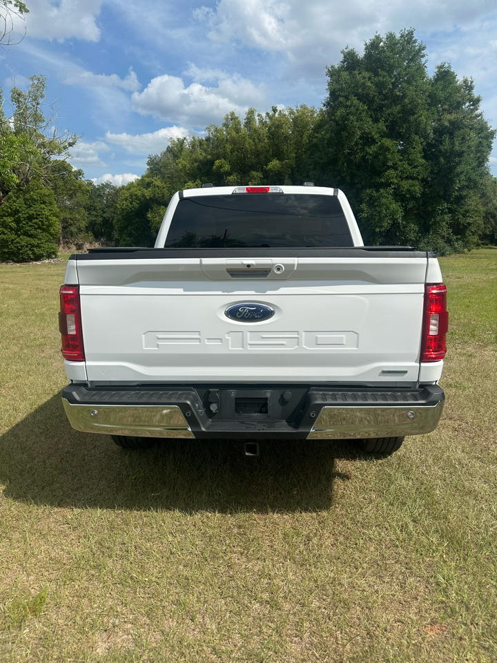 Ford F-150 XLT 4WD SuperCrew 5.5' Box 2022