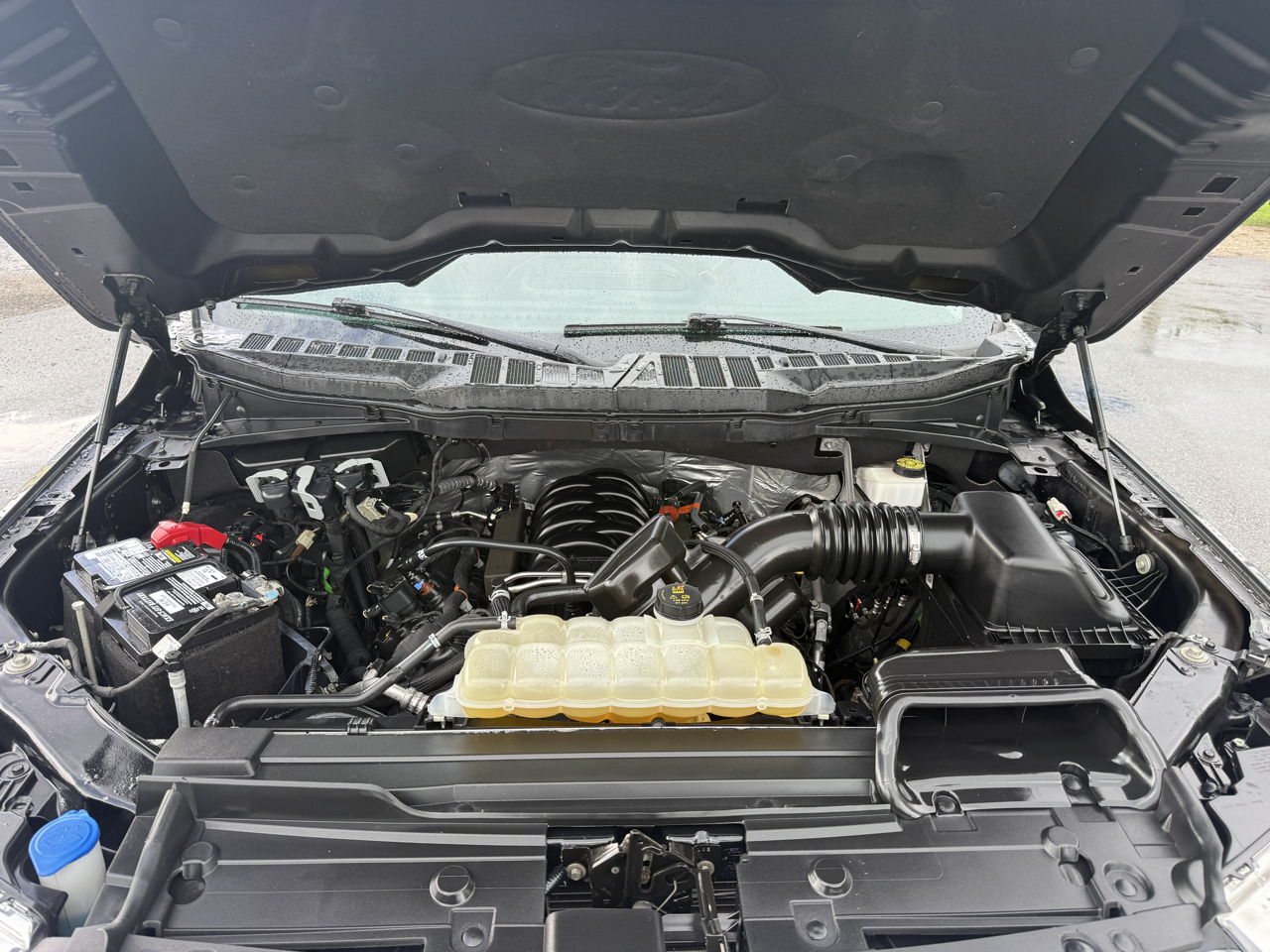 Ford F-150 XLT 4WD SuperCrew 5.5' Box 2023