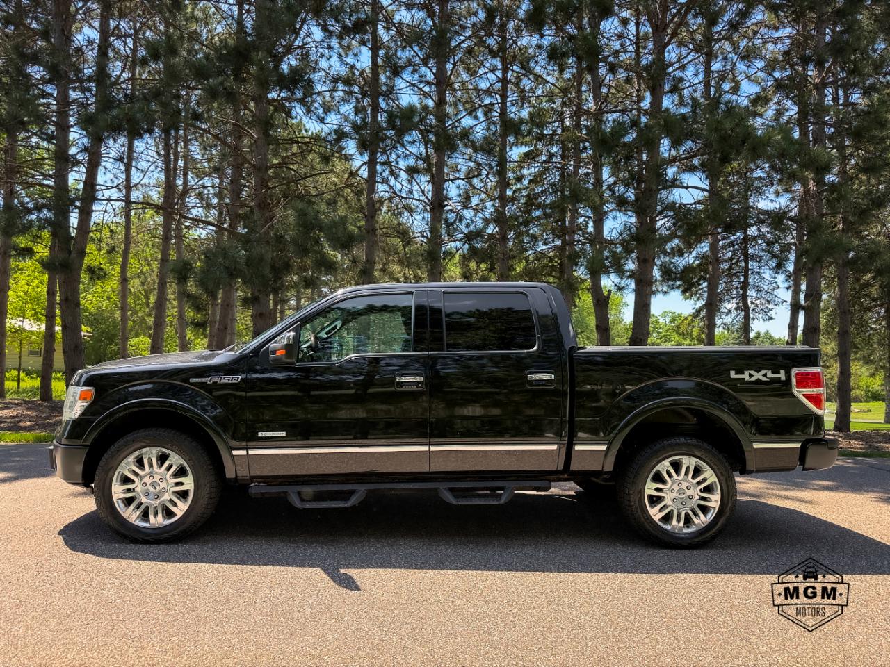 2014 Ford F-150 Platinum 4x4 SuperCrew 145-in's photo
