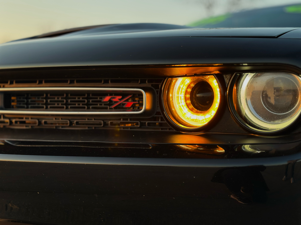 Dodge Challenger  2019