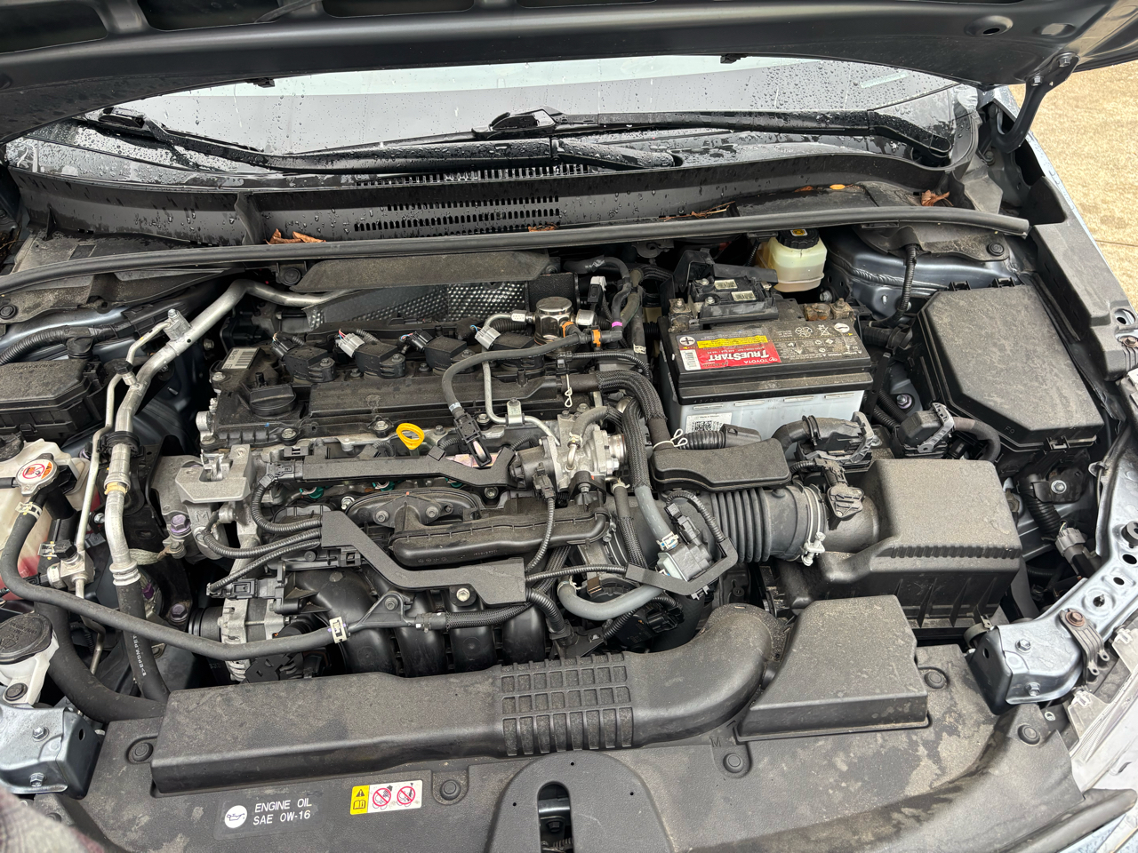 Toyota Corolla SE 2021