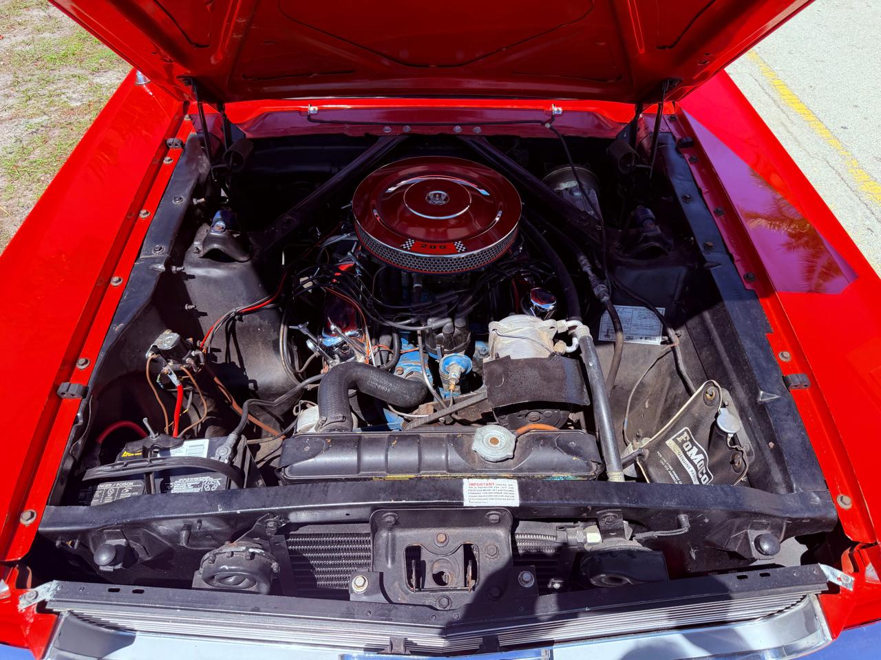 Ford Mustang Fastback  1966