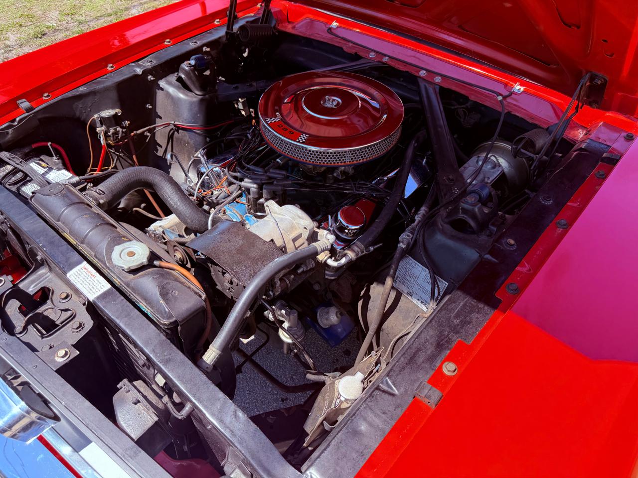 Ford Mustang Fastback  1966