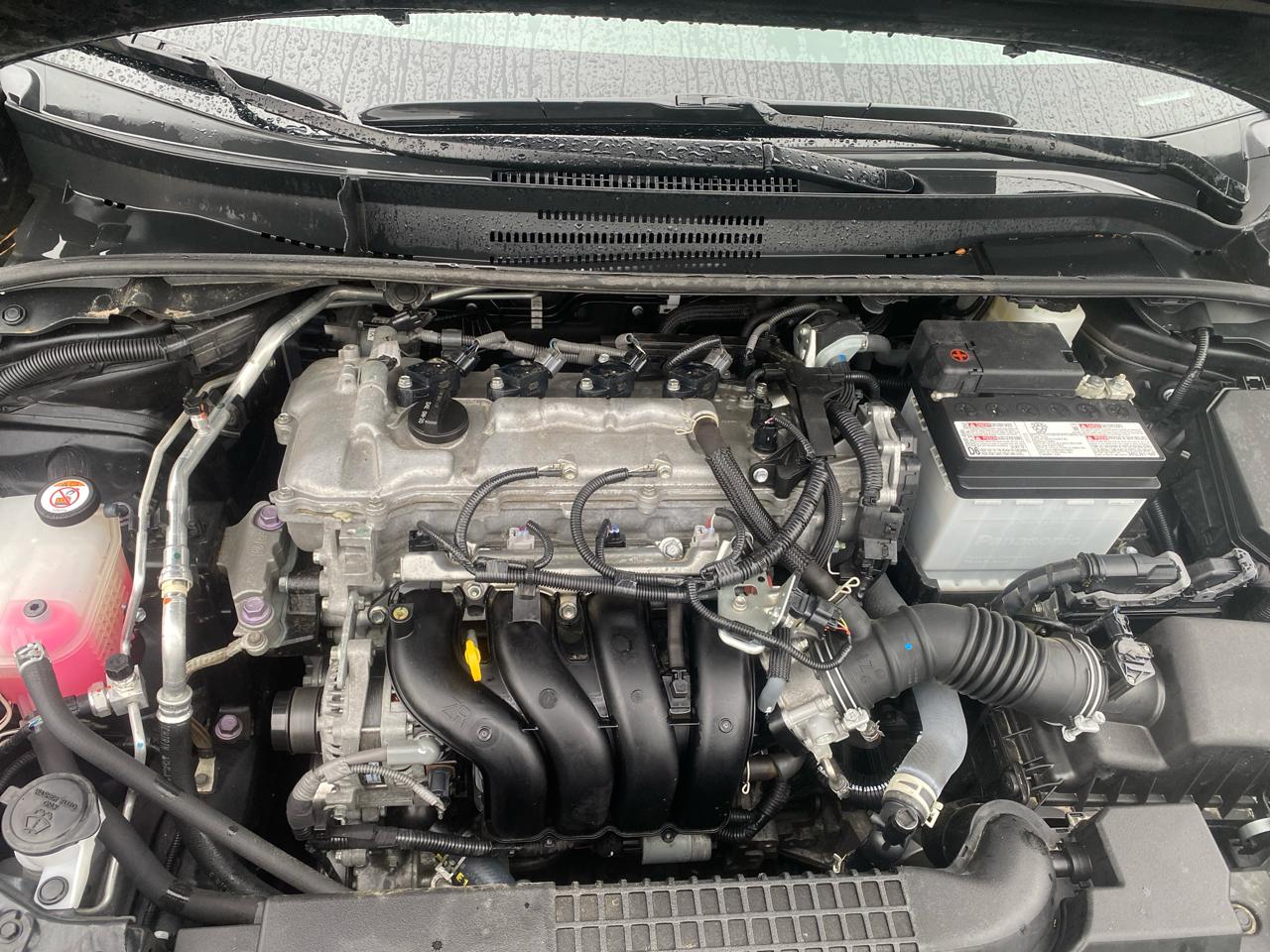 Toyota Corolla LE 2022
