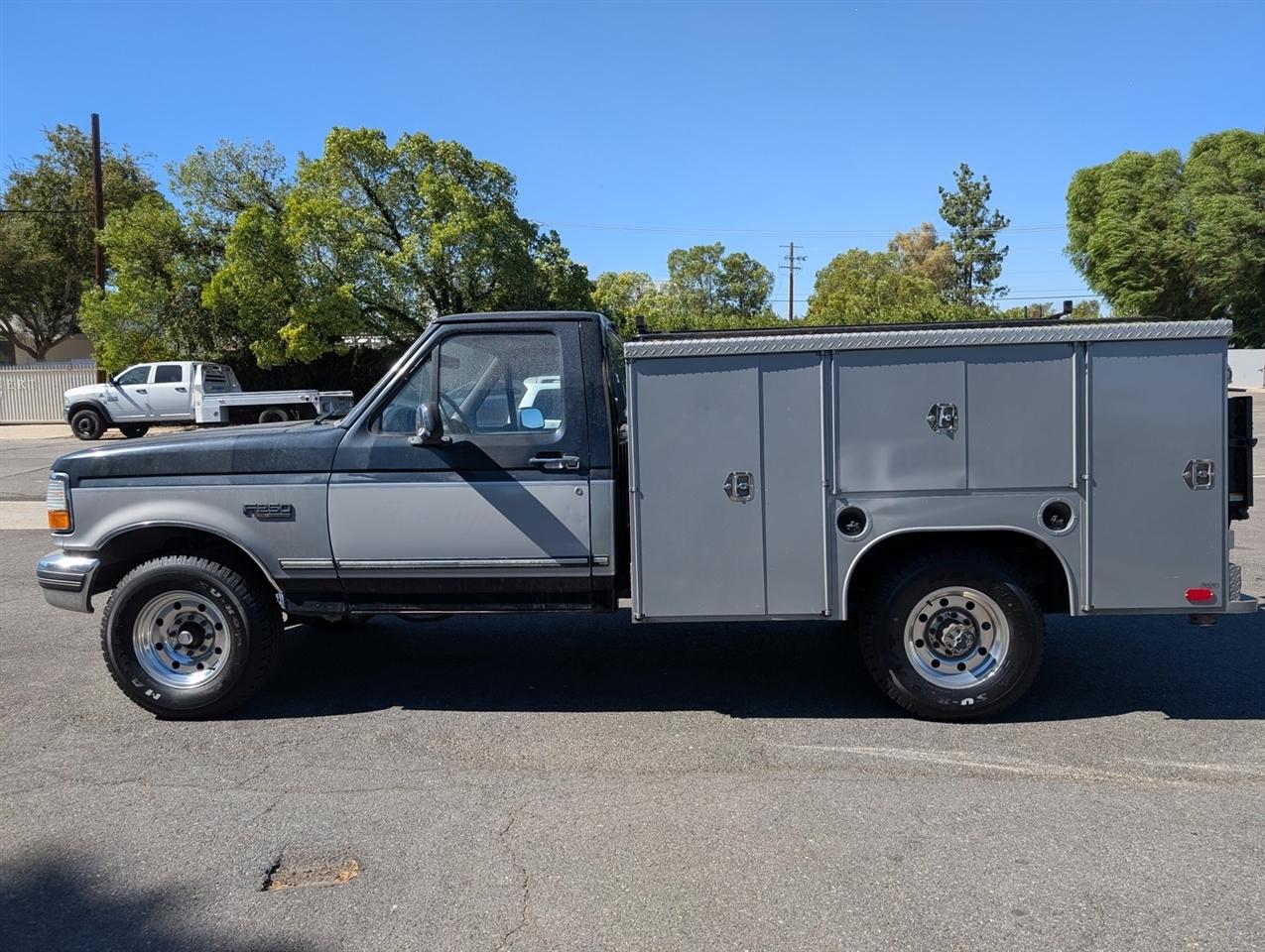 Ford F-250  1995
