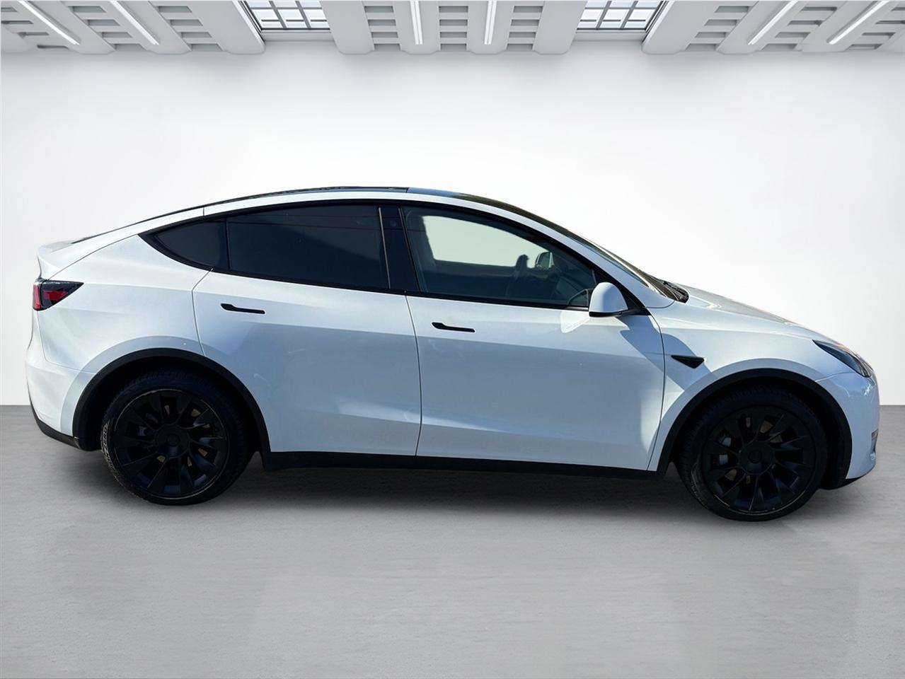 Tesla Model Y  2023
