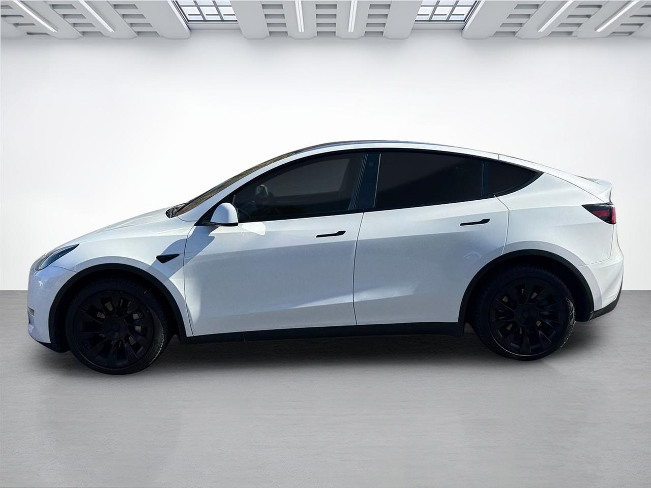 Tesla Model Y  2023